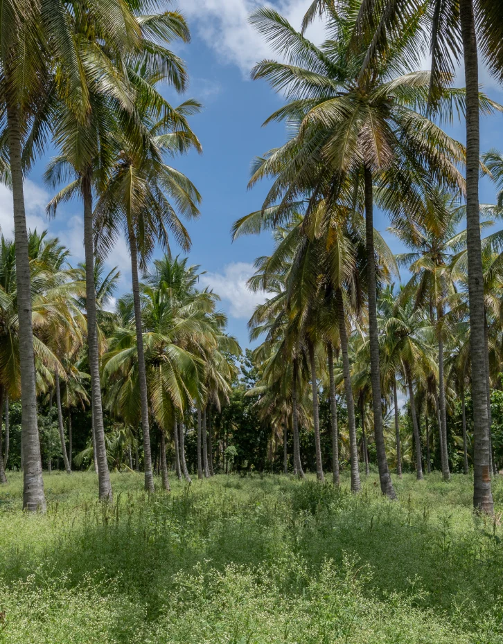 Photograph of Vamshadhara with the community boundary marked