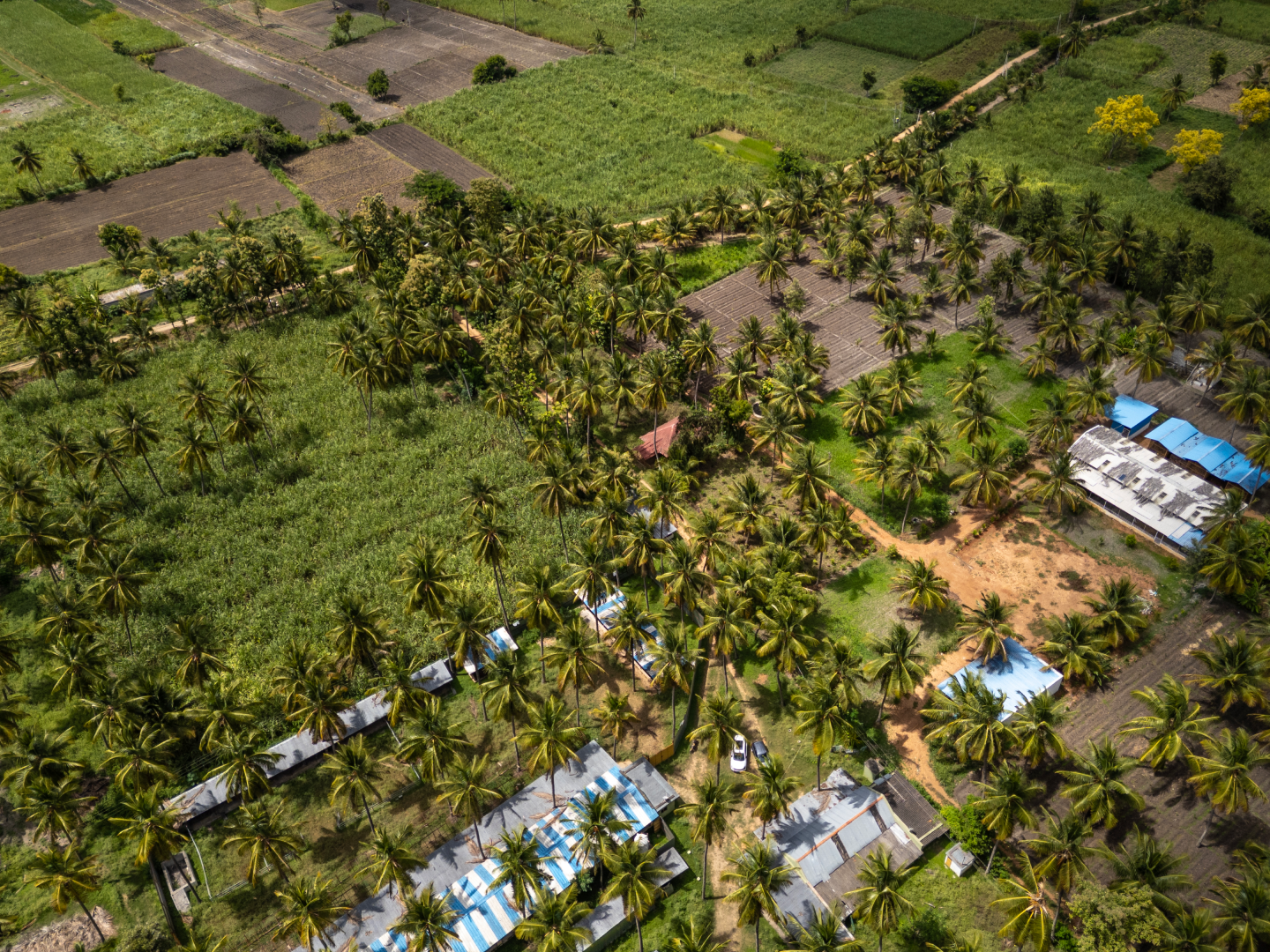 Vamsha Dhara and the surrounding cultivated land