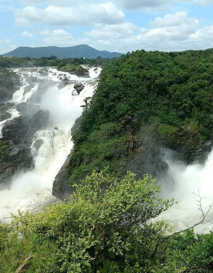 Waterfalls at Shivanasamudra