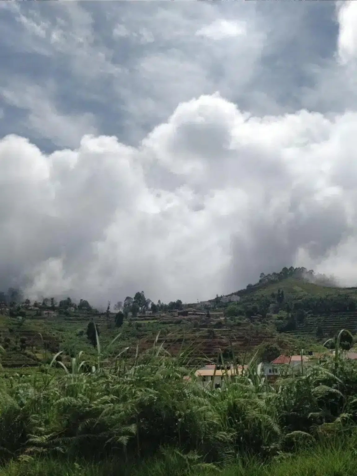 Jain Farms land in Kodaikanal